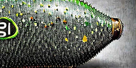 The Quantum Calibration: Why Google's Latest Breakdown Isn't the Threat You Think It Is