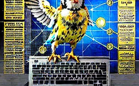 The Noise Signal Ratio: Why Most 'Crypto' News Fails the Audit The Noise Signal Ratio: Why Most 'Crypto' News Fails the Audit