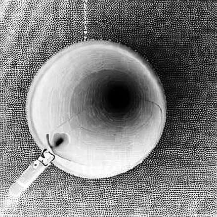MANTRA Chain Freeze: The Cosmos EVM Module Bug That Exposed Governance Fiction