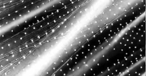 The Empty Ledger: A Nine-Dimension Report That Refused to Invent The Empty Ledger: A Nine-Dimension Report That Refused to Invent