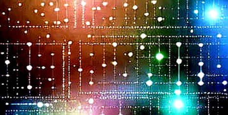 The Information Vacuum: When Transfer Rumors Become On-Chain Noise The Information Vacuum: When Transfer Rumors Become On-Chain Noise
