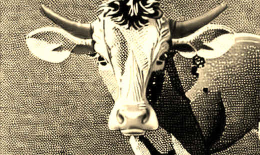 The Citigroup Signal: Wall Street's Quiet Entry and the Death of the "China Discount"