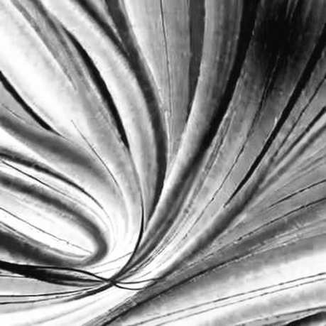The Geopolitics of Charity: Ripple’s $250k RLUSD Donation and the Quiet Architecture of Compliance The Geopolitics of Charity: Ripple’s $250k RLUSD Donation and the Quiet Architecture of Compliance